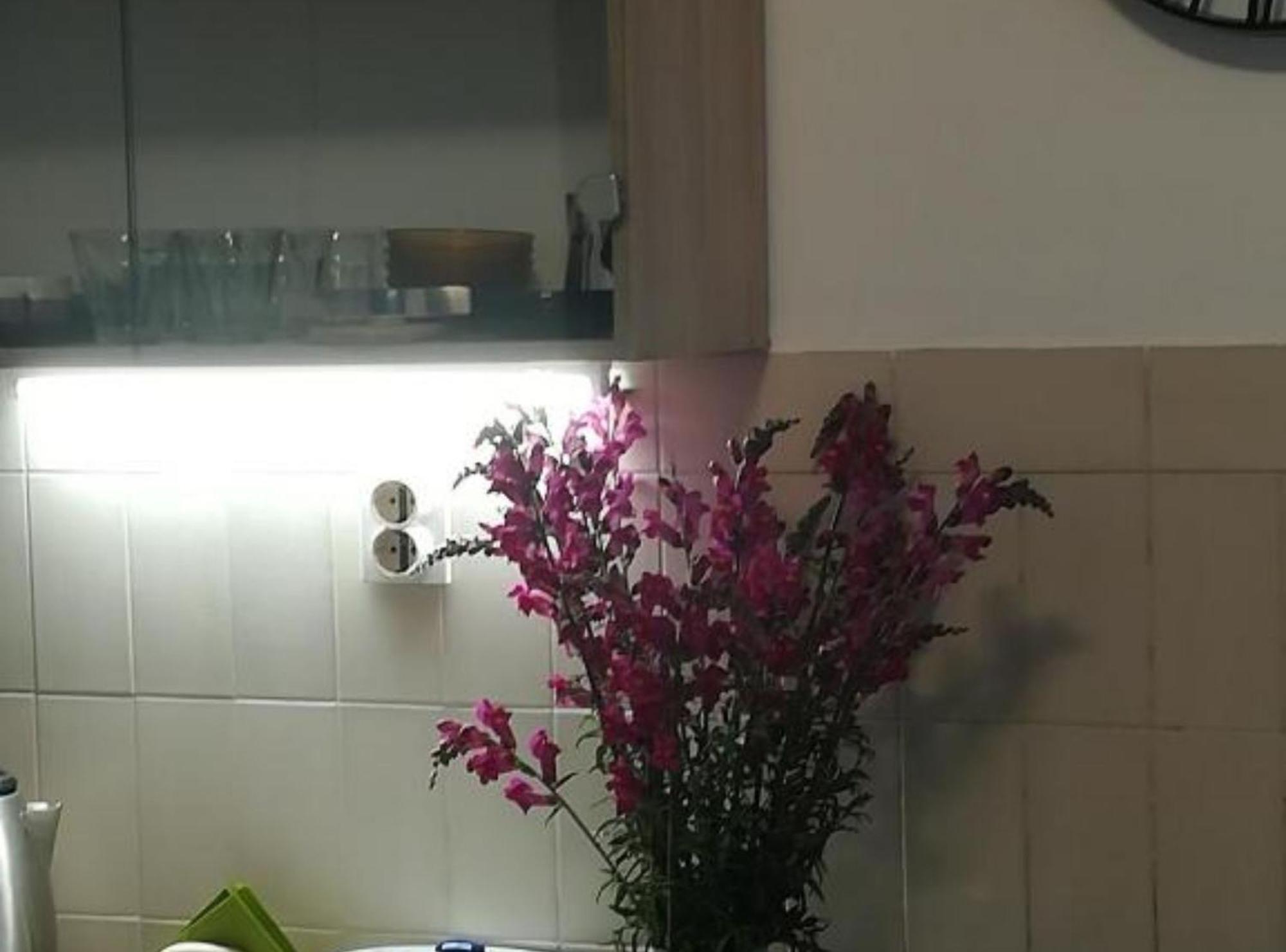 Apartman Olymp Osijek-Garaza Eksteriør billede