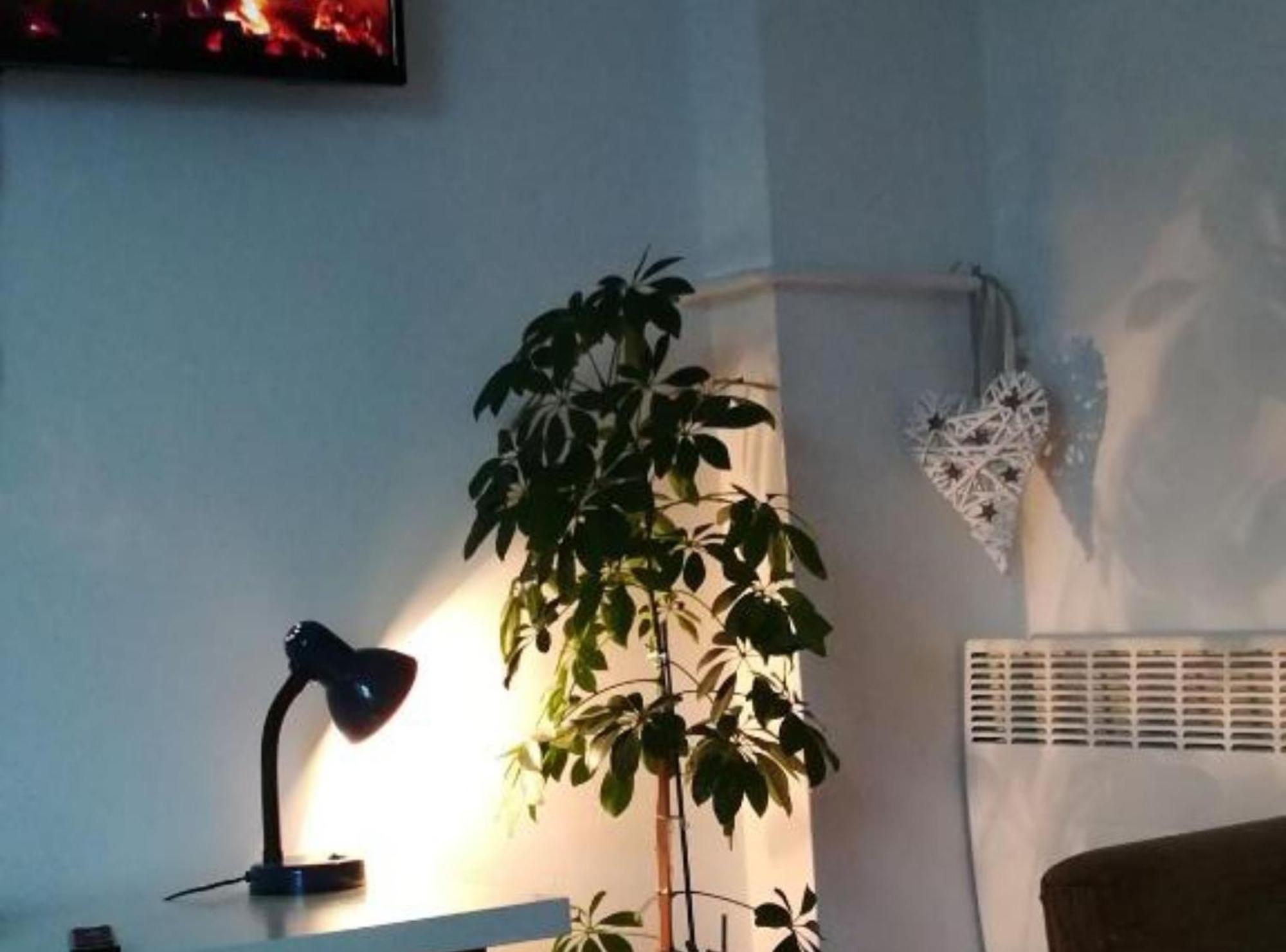 Apartman Olymp Osijek-Garaza Eksteriør billede